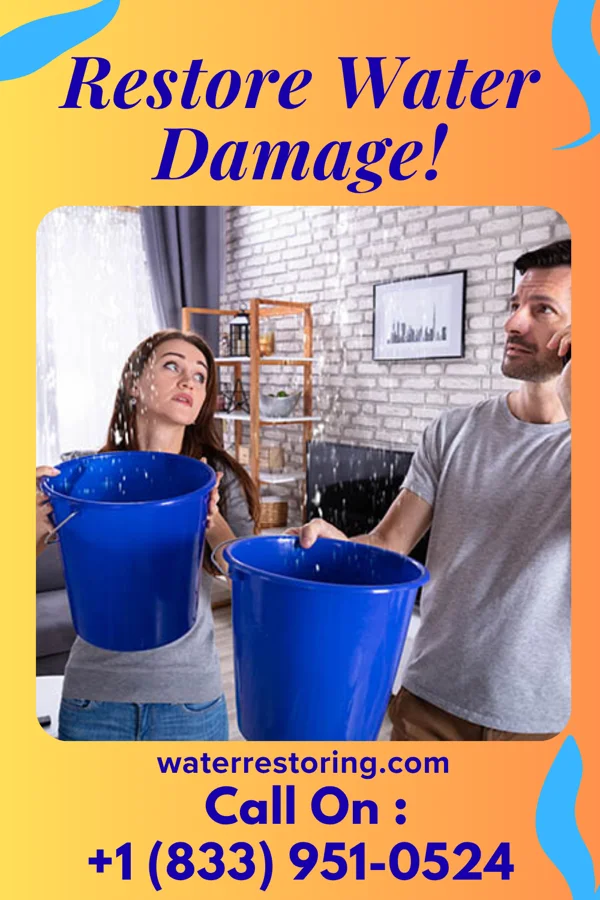 water restoration Pinnacle Water Damage LLC Hamburg
