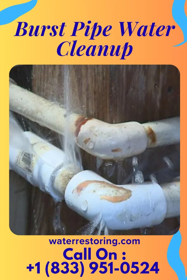 Burst Pipe Water Cleanup in Hamburg, PA