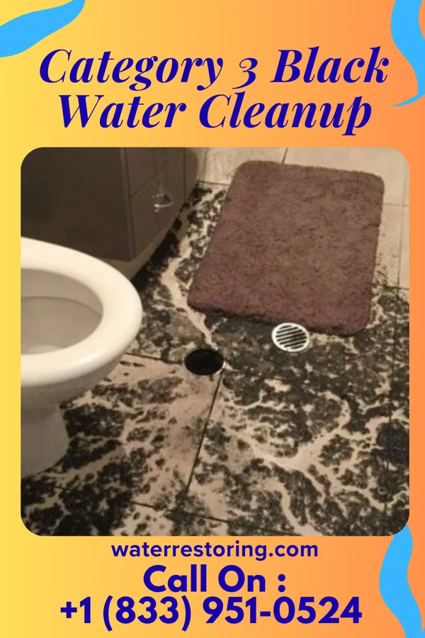 Category 3 Black Water Cleanup in Hamburg, PA