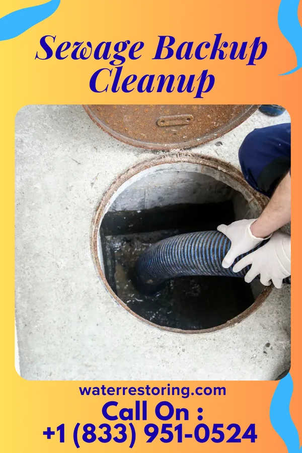 Sewage Backup Cleanup in Hamburg, PA